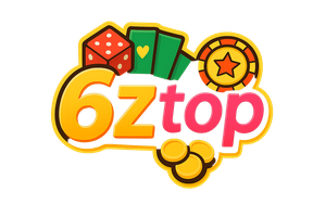 6z top